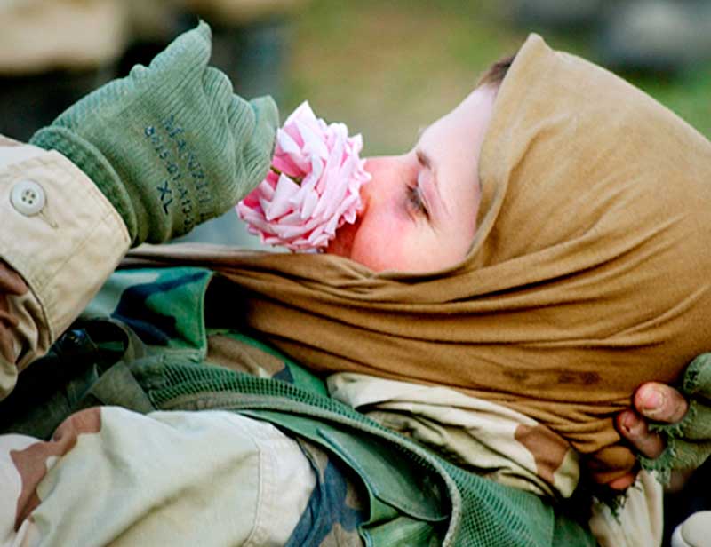 Marine sniffing pink rose