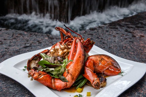 The pan-roasted lobster with tangerine ginger butter is a favorite at Dakota's restaurant in downtown Dallas, Texas. Other specialties include the mushroom wontons with chamomile vinaigrette and Colorado lamb with date papaya pesto. Pan-roasted lobster with tangerine ginger butter is a favorite at Dakota's restaurant in downtown Dallas, Texas. Other specialties include the mushroom wontons with chamomile vinaigrette and Colorado lamb with date papaya pesto.